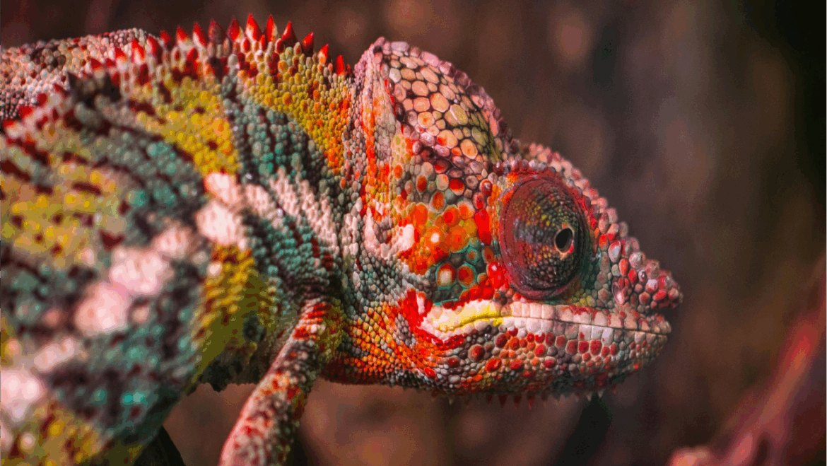 El Color de lo que Sentís.